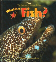What is a Fish? (Science of Living T…, Kalman, Bobbie
