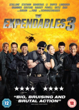 The Expendables 3 (Import)