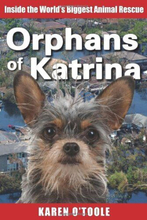 Orphans of Katrina: Inside World…, O’Toole, Karen