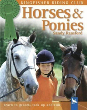 Horses and Ponies: A General Introduction (Kingf… by Ransford, Sandy