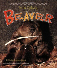 The Life Cycle of a Beaver (Life Cyc…, Kalman, Bobbie