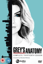 Grey's Anatomy - Season 13 (6 disc) (Import)