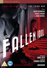 The Fallen Idol (Import)
