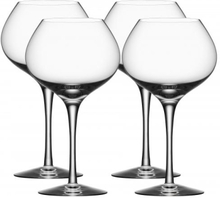 More Wine glass Mature 48cl, 4-pack - Orrefors