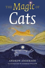 The Magic of Cats, Andrew Anderson