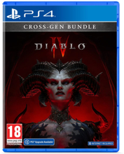 Diablo IV (Cross-Gen Bundle) (PlayStation 4)