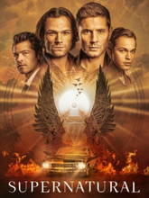 Supernatural - Season 15 (Import)