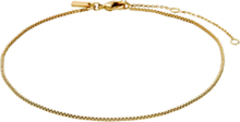 Pallas Anklet Gold-Plated Accessories Jewellery Ankle Chain Gold Pilgrim