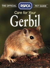 The Official RSPCA Pet Guide �” Care for your Gerbil (Off… by RSPCA