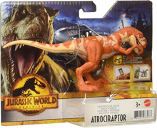 Jurassic World Ferocious Pack Atrociraptor Dinosaur Action Figure 20cm