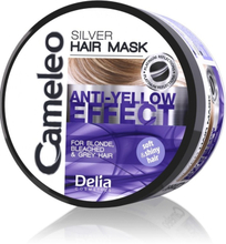 Anti-Yellow Effect Silver Hair Mask keltaisuutta estävä naamio vaaleille hiuksille 200ml