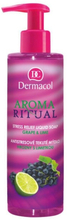 Aroma Ritual Stress Relief Liquid Soap Grape & Lime nestesaippua 250ml