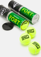 Tennis balls Dunlop FORT ALL COURT TS Premium 4-tin ITF