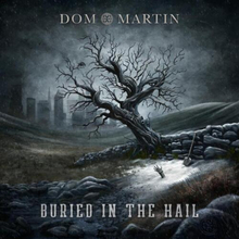 Dom Martin : Buried in the Hail CD (2023)