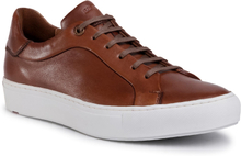 Sneakers Lloyd Ajan 29-518-03 Brun
