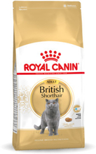 Royal Canin British Shorthair Adult torrfoder till katt 10 kg Vuxen