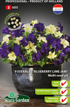 Schmelzbare Mehrsamen-Pellet 'Petunia Blueberry Lime Jam F1'