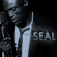 Seal: Soul 2008