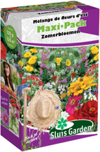 Streuschachtel Wiesenblumen-Samenmischung SOMMER - Maxi Pack Sluis Garden
