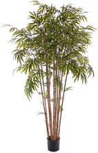 Tropische bamboe boom 130 cm