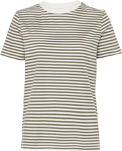 Slfmy Perfect Ss Tee Box Cut-Stri B Noos T-shirts & Tops Short-sleeved Kakigrønn Selected Femme*Betinget Tilbud