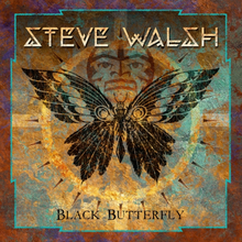 Walsh Steve: Black Butterfly