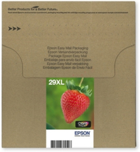 Epson 29XL multipack (T2991-T2994)