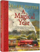Harry Potter- A Magical Year