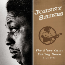 Shines Johnny: Blues Came Falling Down/Live 1973
