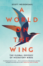 A World On The Wing
