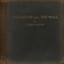 Joshua Radin: The Ghost And The Wall (vinyl)