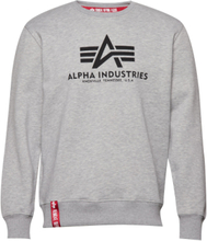 Basic Sweater Designers Sweatshirts & Hoodies Sweatshirts Grey Alpha Industries