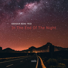 Berg Oddgeir (trio): In The End Of The Night