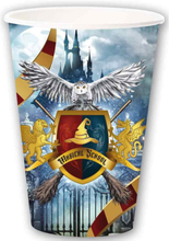 6 stk Harry Potter Inspirerte Pappkrus 355 ml - Magical School