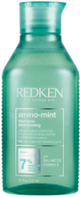 Rensende shampoo Redken Amino MInt (300 ml)