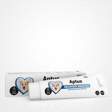 Aptus Recovery Booster Dog 100g - Kosttillskott för hund