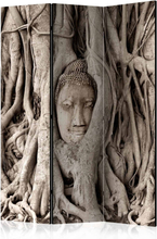 Skærmvæg Buddha's Tree