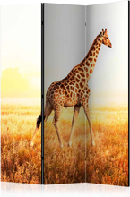 Skærmvæg giraffe - walk