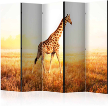 Skærmvæg giraffe - walk II