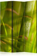 Skærmvæg bamboo - nature zen