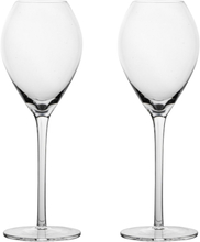Sagaform - Saga champagneglass 20 cl 2 stk
