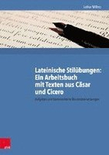 Lateinische Stilubungen: Ein Arbeitsbuch Mit Texten Aus Casar Und Cicero: Aufgaben Und Kommentierte Musterubersetzungen