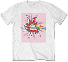 Pink Floyd: Unisex T-Shirt/Lichtenstein Prism (Large)
