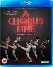 A Chorus Line: 30th Anniversary Edition