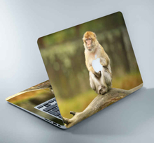 Aap laptop sticker apple