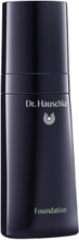 Dr. Hauschka Foundation 03 Chestnut - 30 ml
