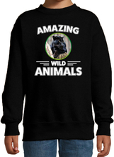 Sweater zwarte panters amazing wild animals / dieren trui zwart voor kinderen