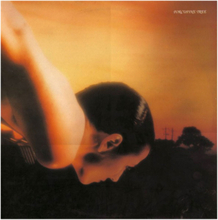 Porcupine Tree: On The Sunday Of Life - 2 LP
