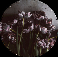 Tavla Dark Tulips