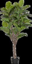 Konstgjord växt Rubberboom